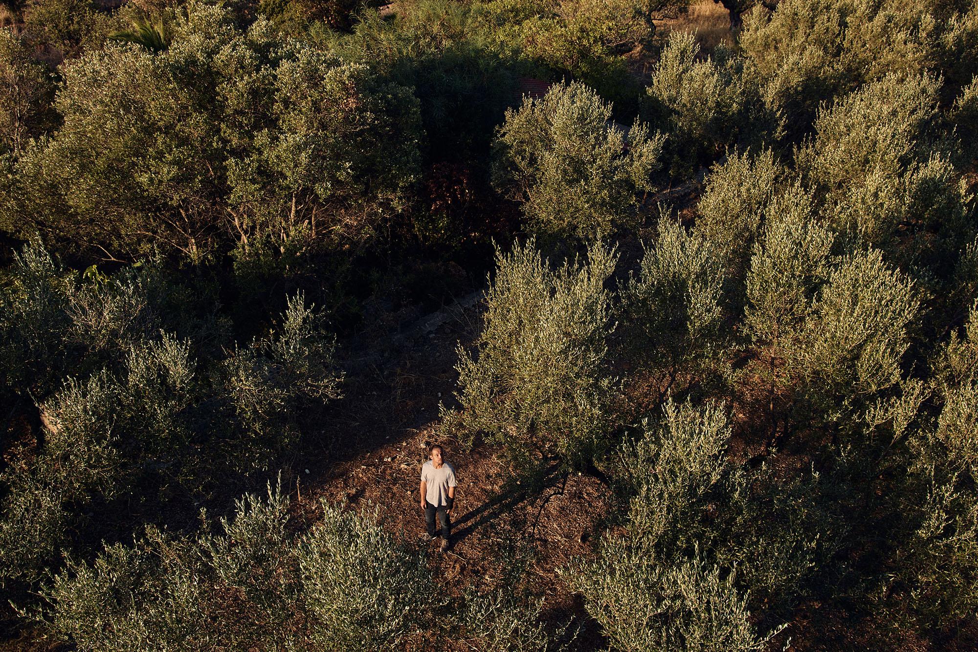 Hartwig Seeler - Im Labyrinth der Rache - Image 4