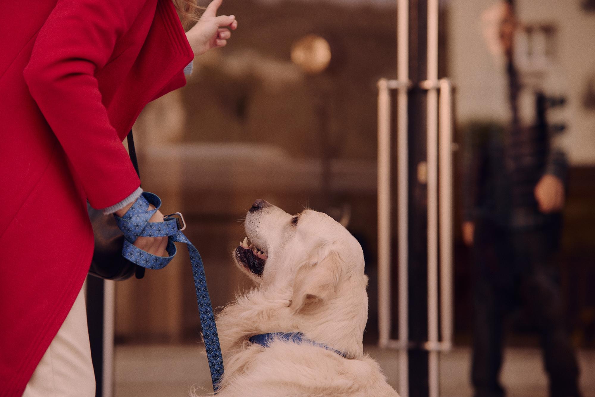 Swipe right - Image 7