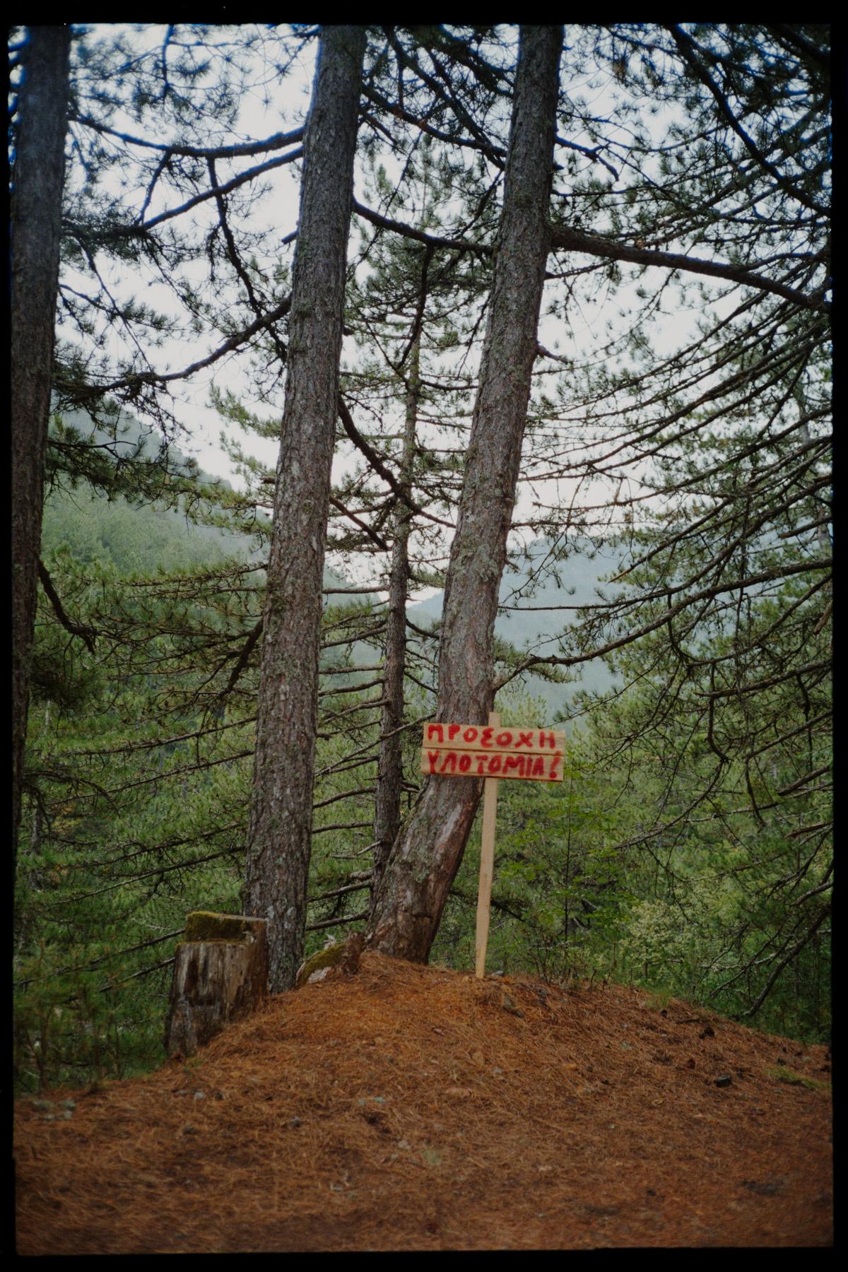 Valia Calda - Image 5