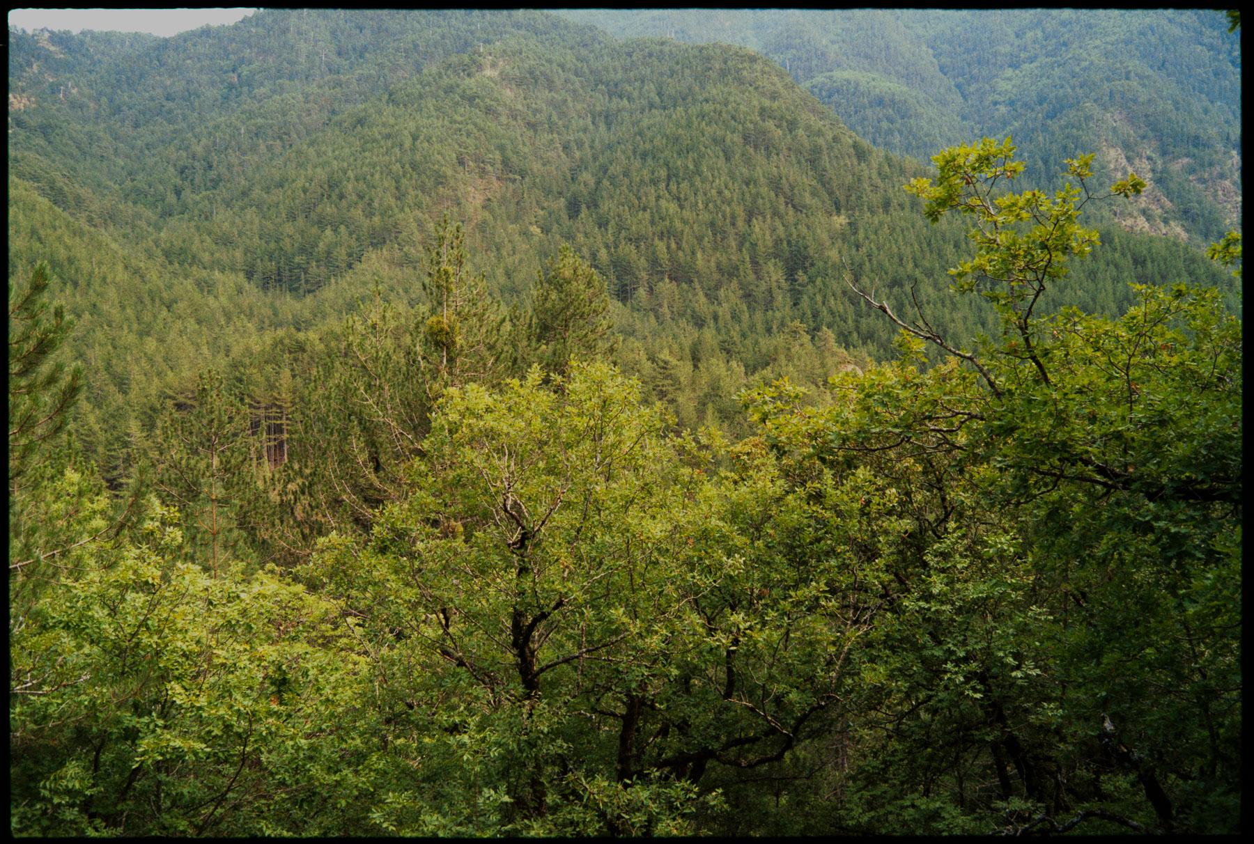 Valia Calda - Image 8