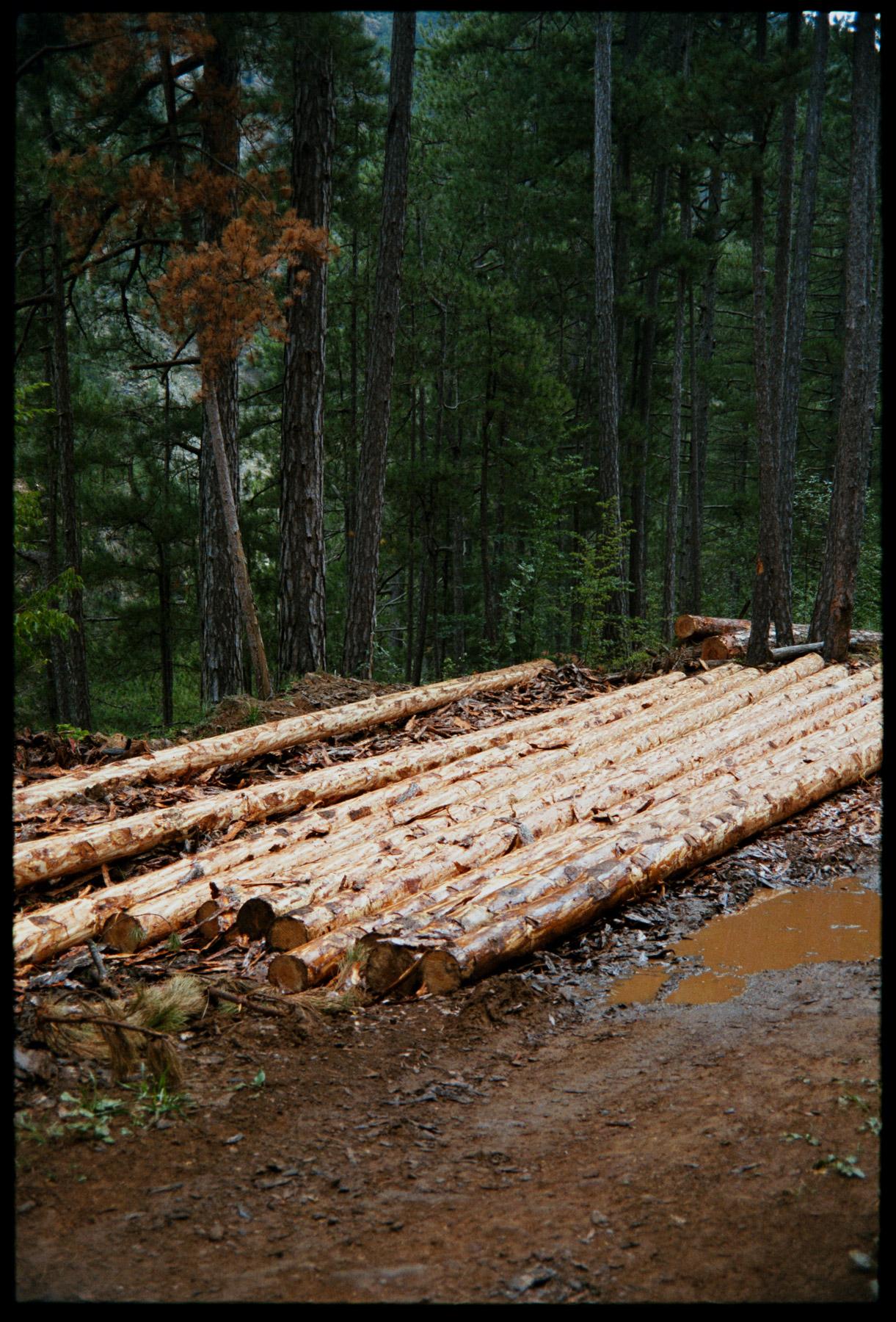 Valia Calda - Image 1